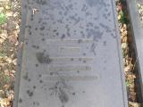 image of grave number 231830